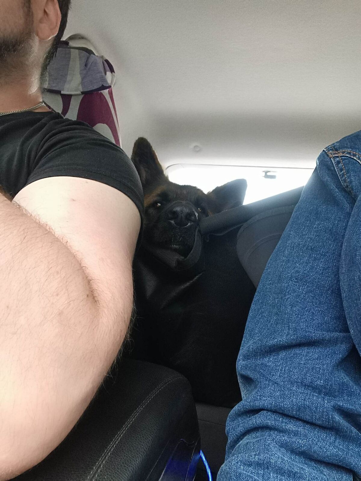 2b151bfe-cbdb-44a2-9f41-9173ab16fa3c