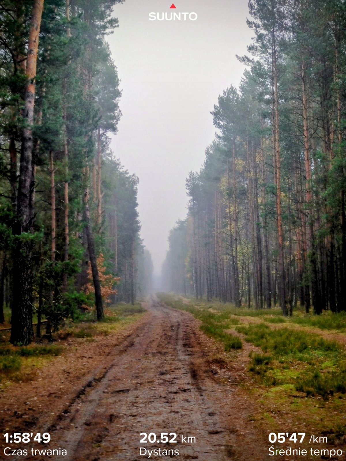 46fb243a-e94e-477a-a10c-767e936cd71e