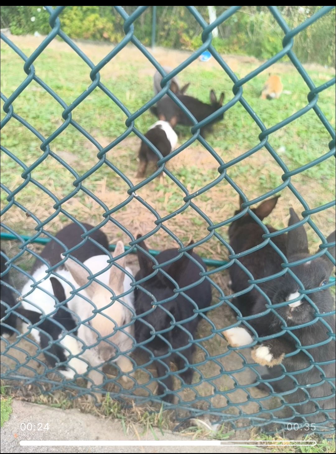 79ae9526-8f88-45d6-9b01-335da905c093