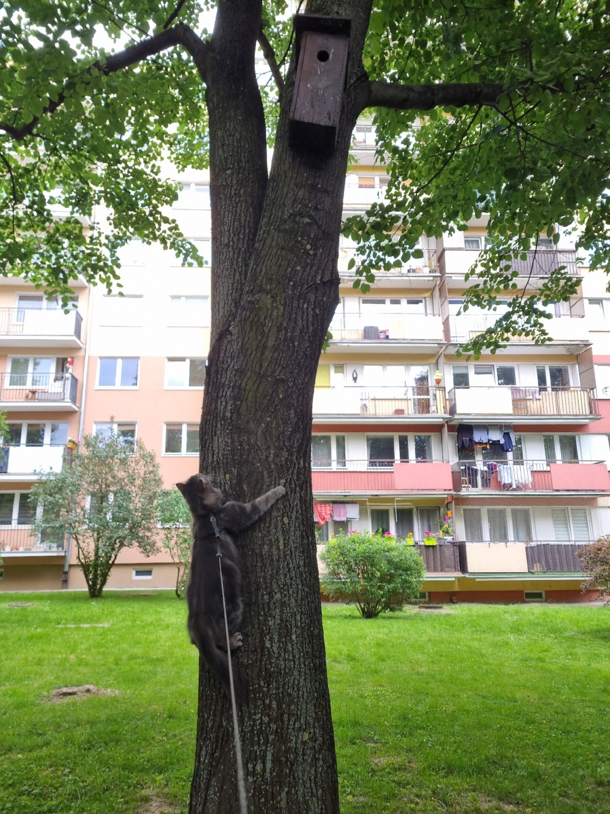 5561ef14-94de-4ee6-8025-aec3069b7187