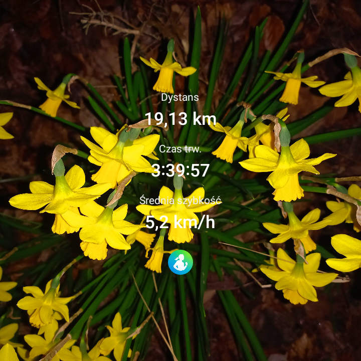 3dea1322-4ceb-4dff-9e8b-1f8f7f6e20ae