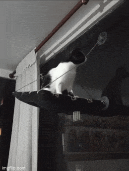 57b5d0f2-c8a2-4e9a-8966-faf5b02a96b2