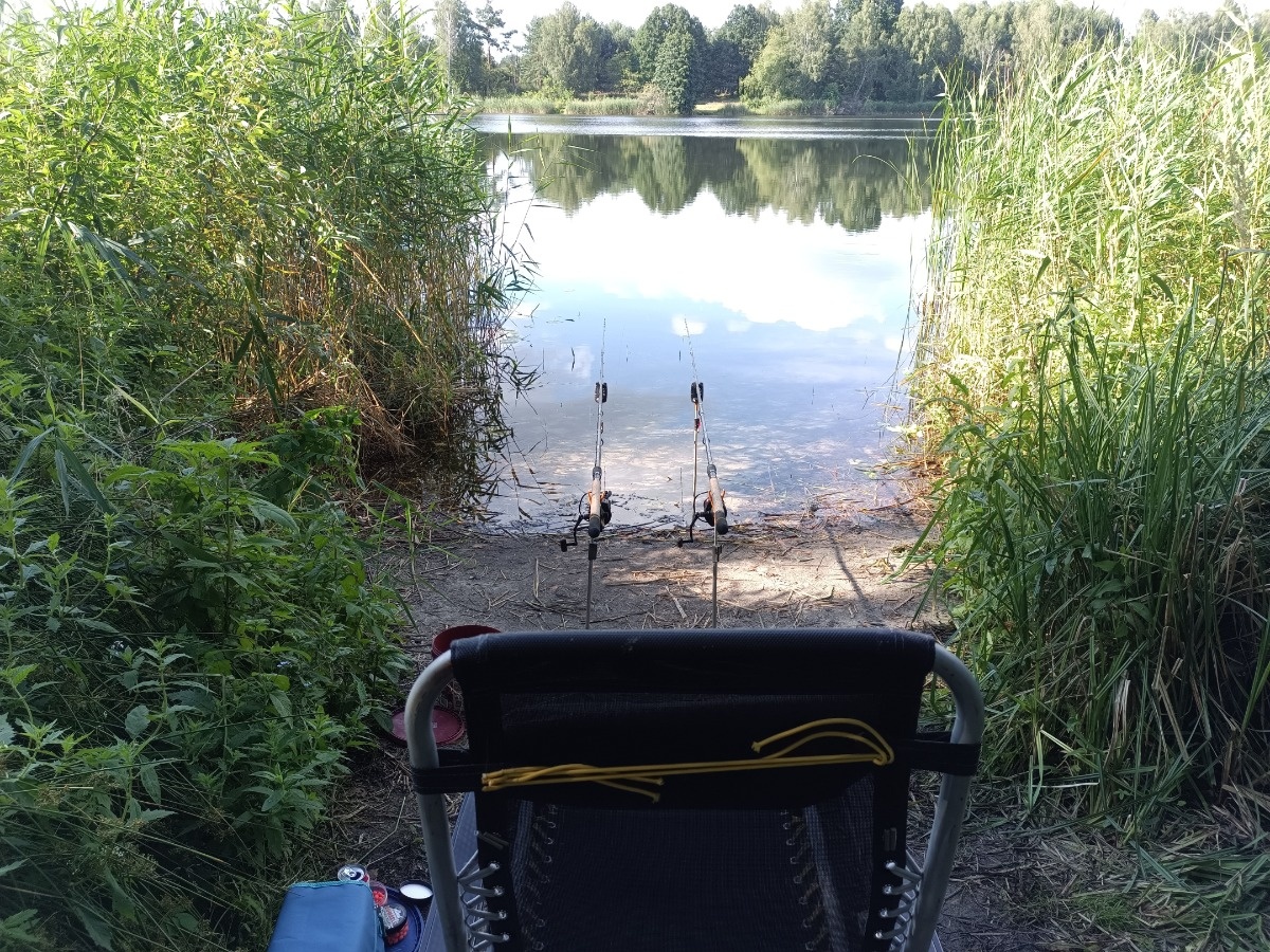 3d87b6f6-5b4e-462d-bd99-b44b7d992ff3