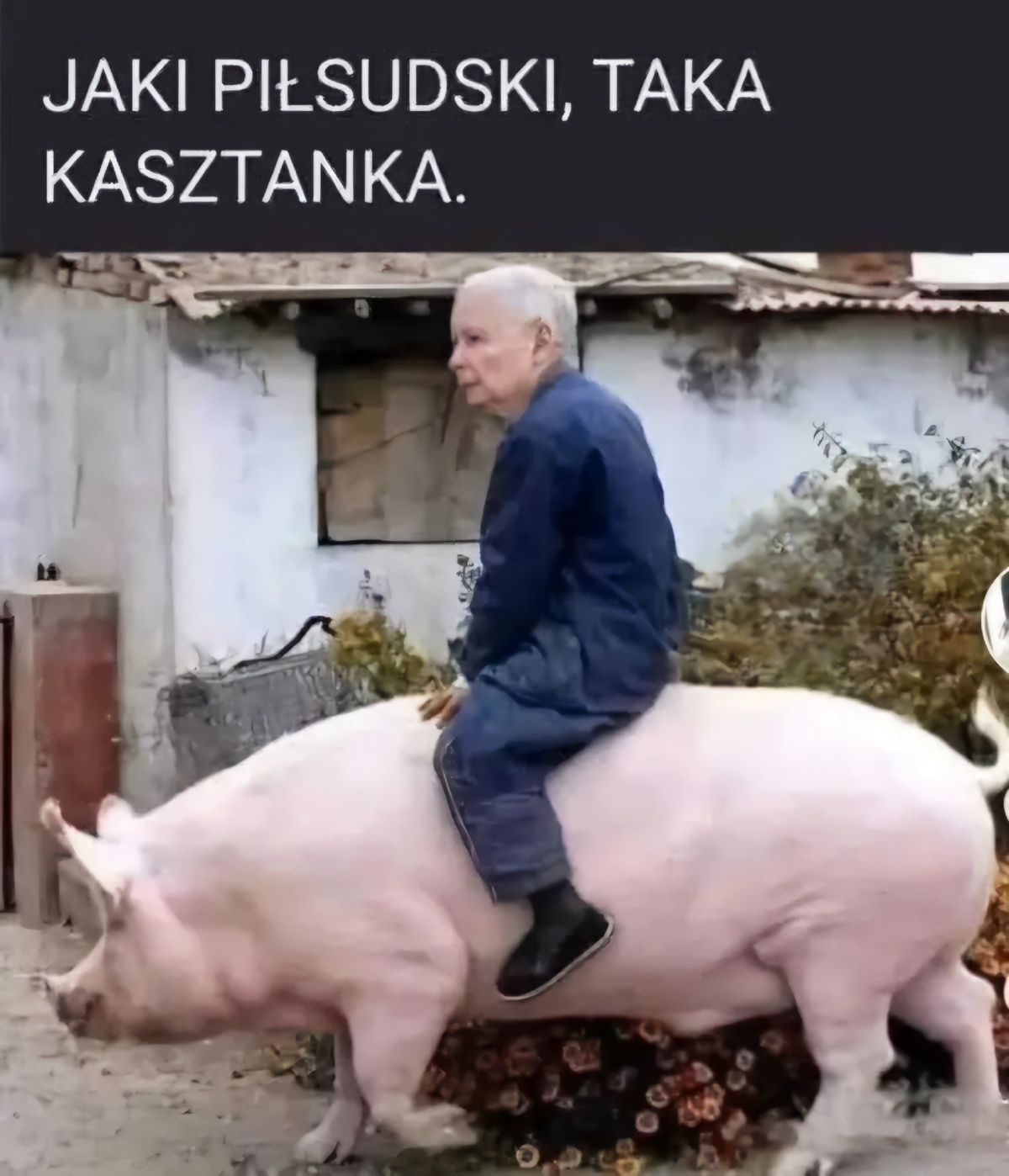 1edbd5ba-a605-4374-bdc4-dfa1e4448903