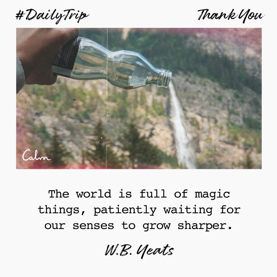 ee052c6f-8014-44d4-ae69-d66aa0740192