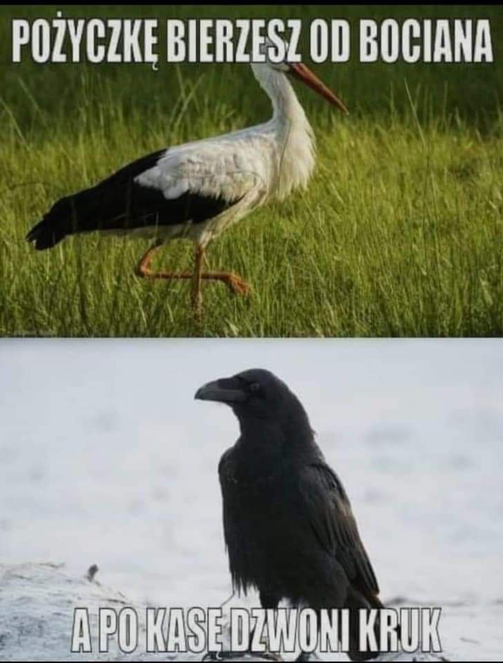 826478c6-fd58-483d-bd24-8d2aebb7df85