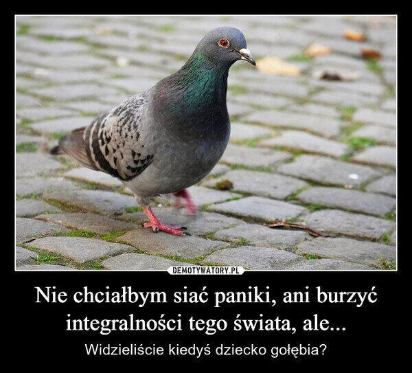 fd7e1c50-9417-48dd-9755-044942514e70