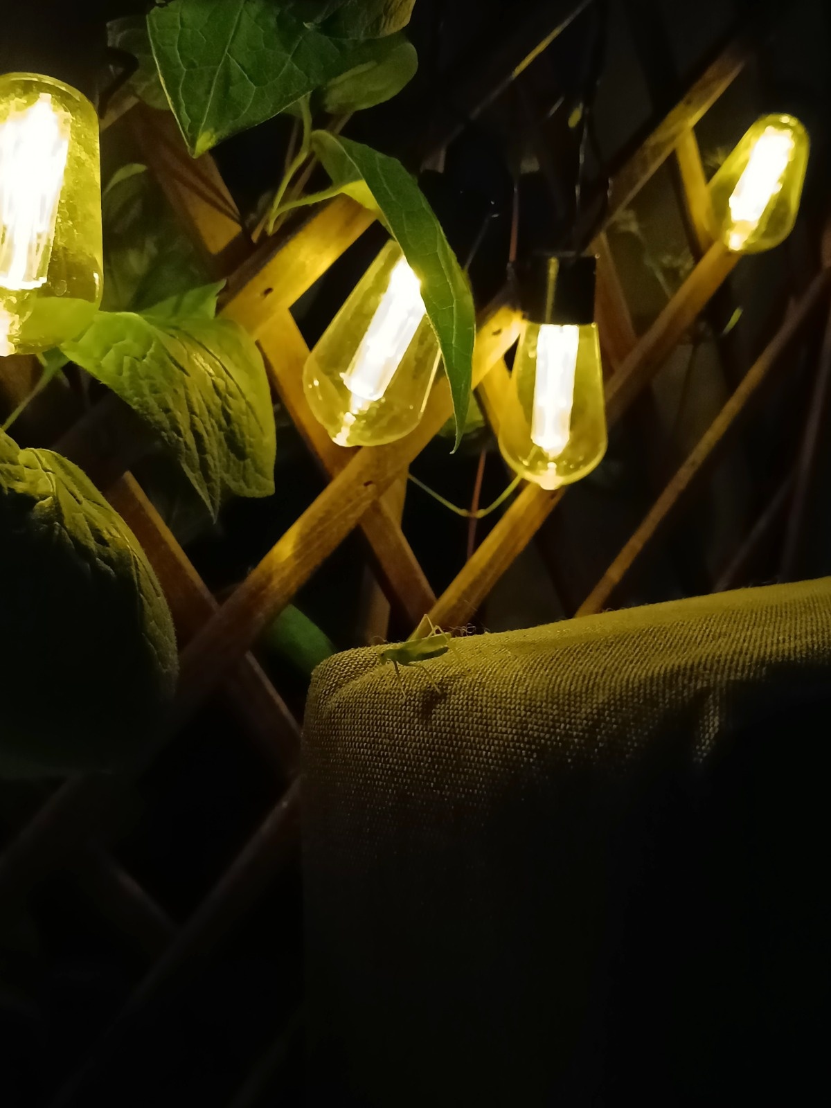 3ed1435f-89e8-4ebf-a638-e06abe2f01dd