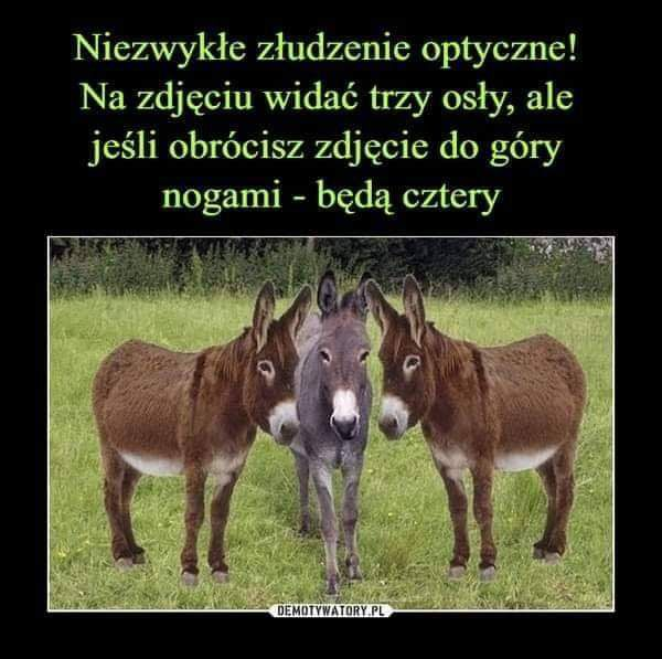 3c48ba3f-f1ee-44a1-a0b4-7c8360a6dd6e