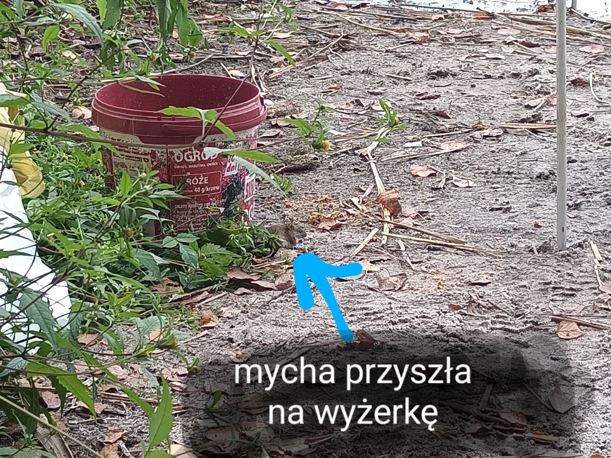 52a967d4-6552-4fbf-affd-a020c3367a03