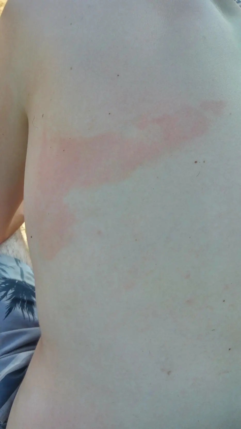 44ba706b-af6b-4e66-9713-779c89caf7f1