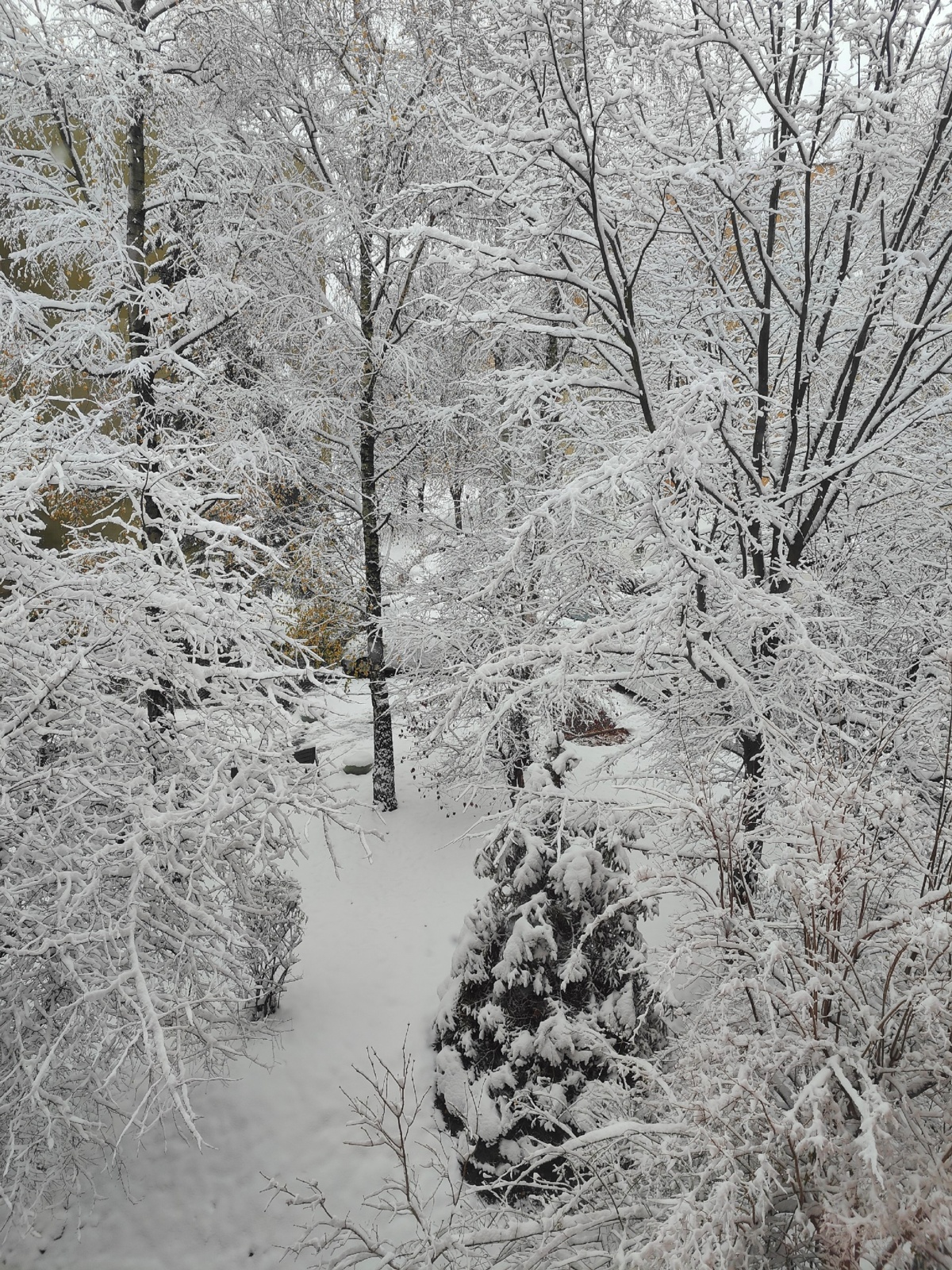 362702dc-2b2f-4a1c-a6f8-a9a2a6f33fa9