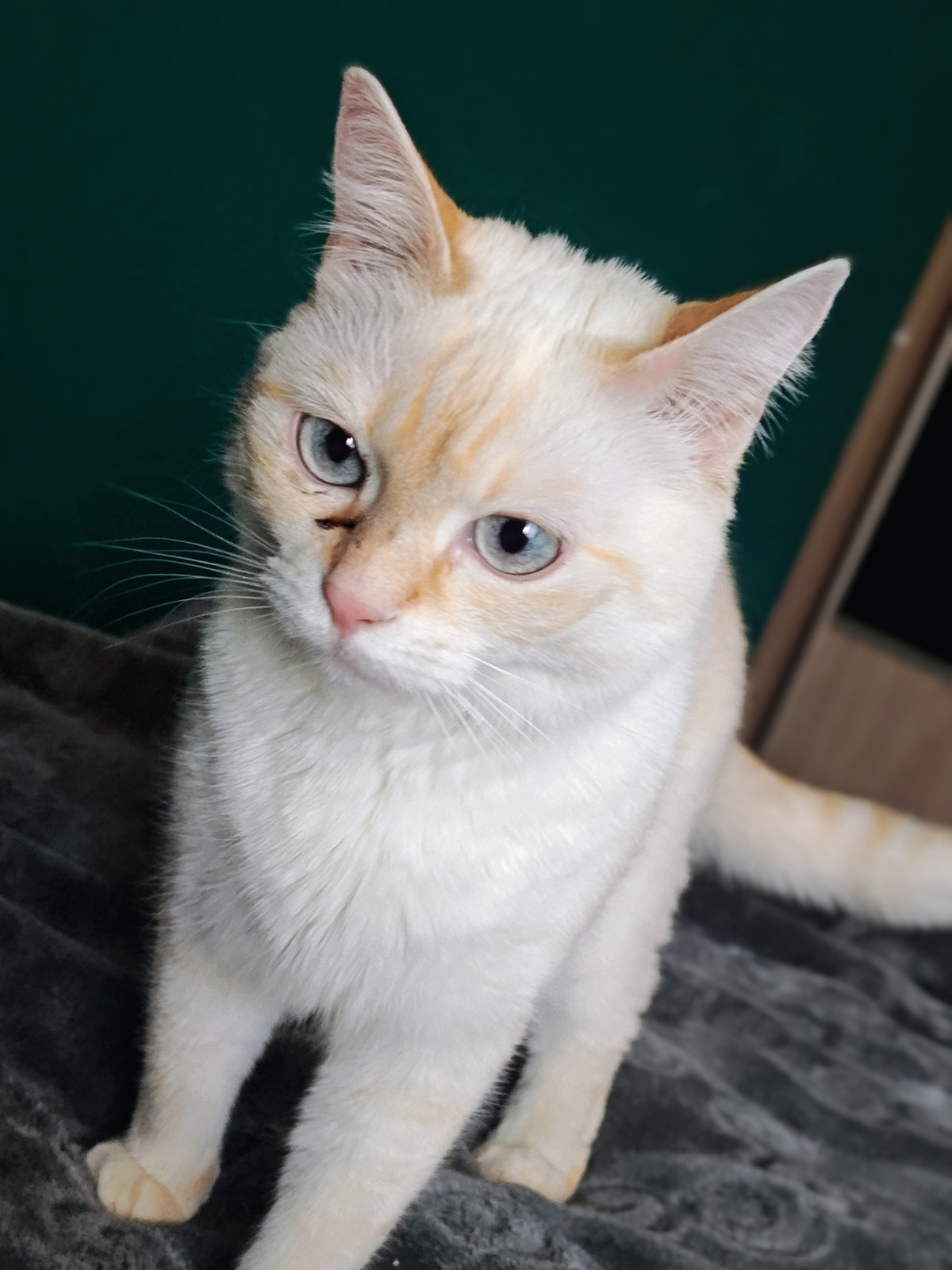 a3abd69e-5a8e-43fa-8f10-292a97d9bee2