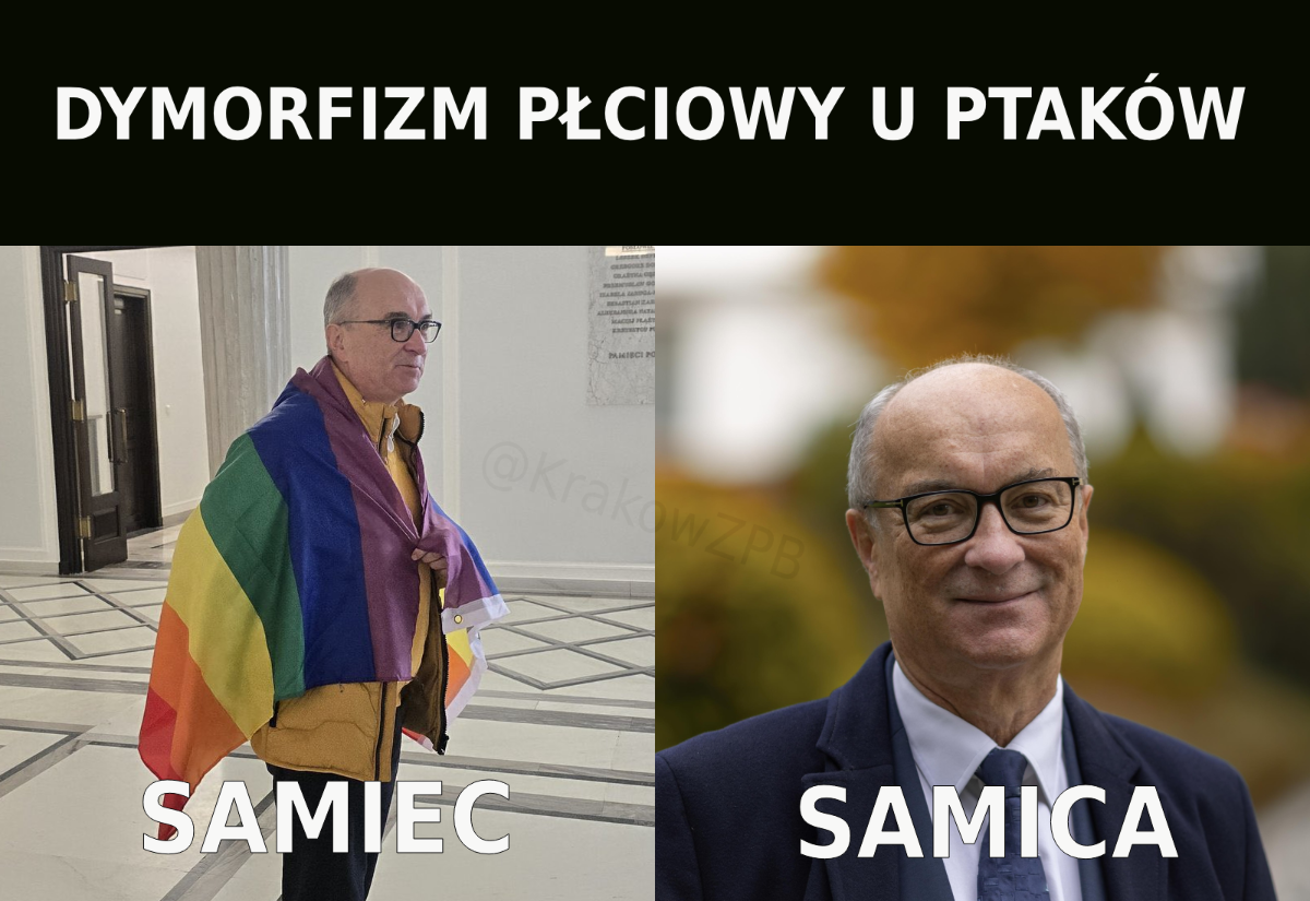 074cbd33-4662-4f8d-961b-36d50287ad45