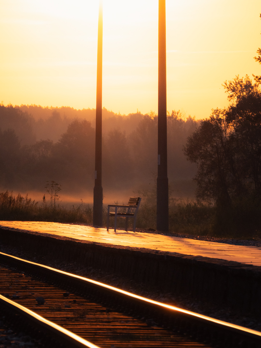 c158b43a-3903-4a8a-ab48-05b3a57d8ead