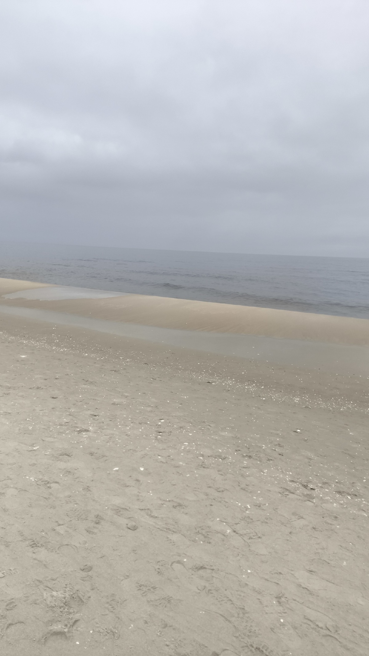 c1723f11-77e4-4f24-abcf-d346b6662d4b