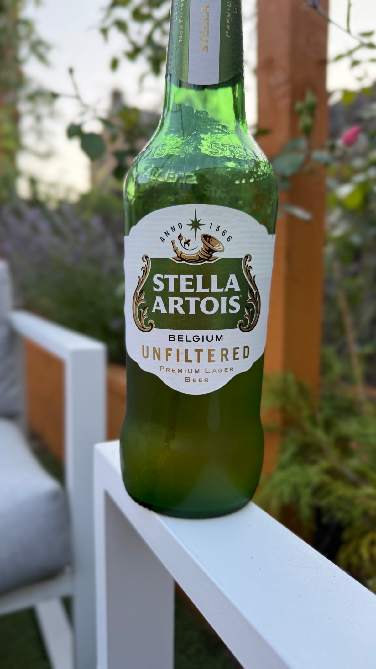 e36e8990-1869-47d2-9463-7763f83de91c