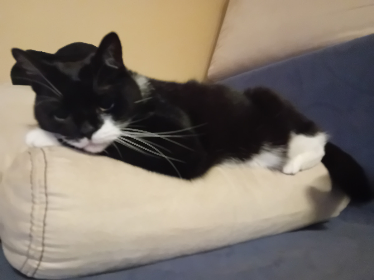 a14bea7f-453f-4239-8af4-1aac98cbbc96