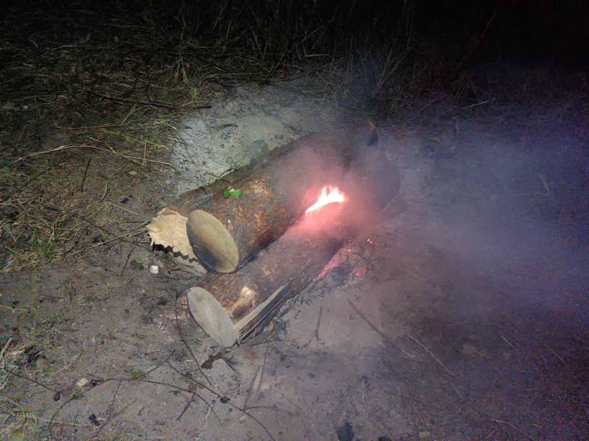 be6d8a2d-b94c-4876-b50d-8d81440e2d9e