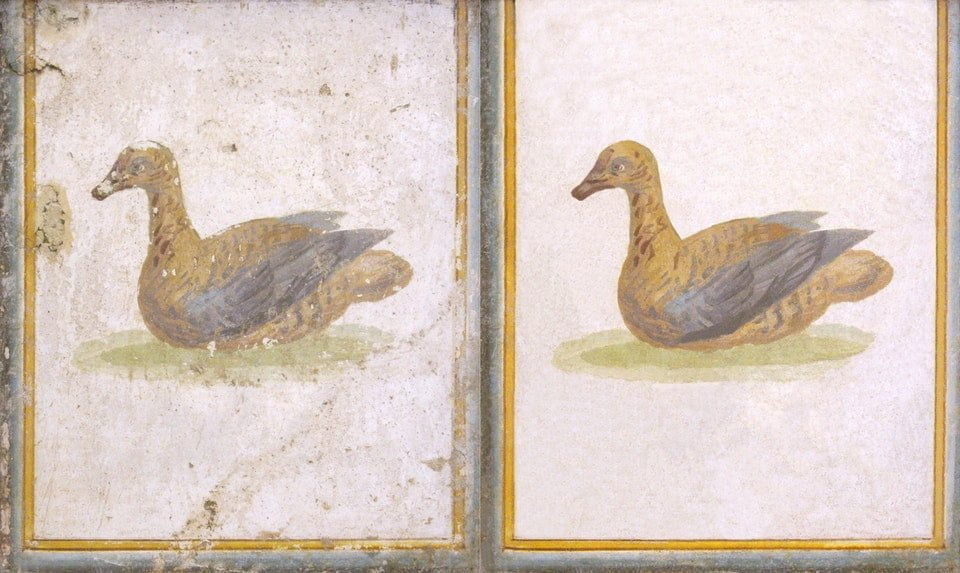 87d7e883-f0ef-49c3-9caf-ee8b9a739724