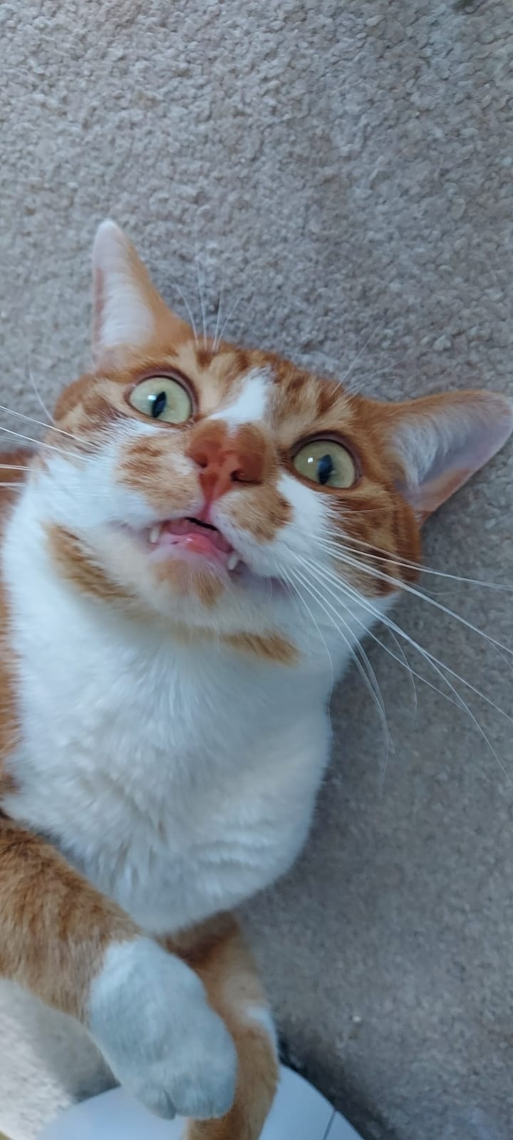 79be9185-31b9-4a61-8cb9-8e1c12cc4c36