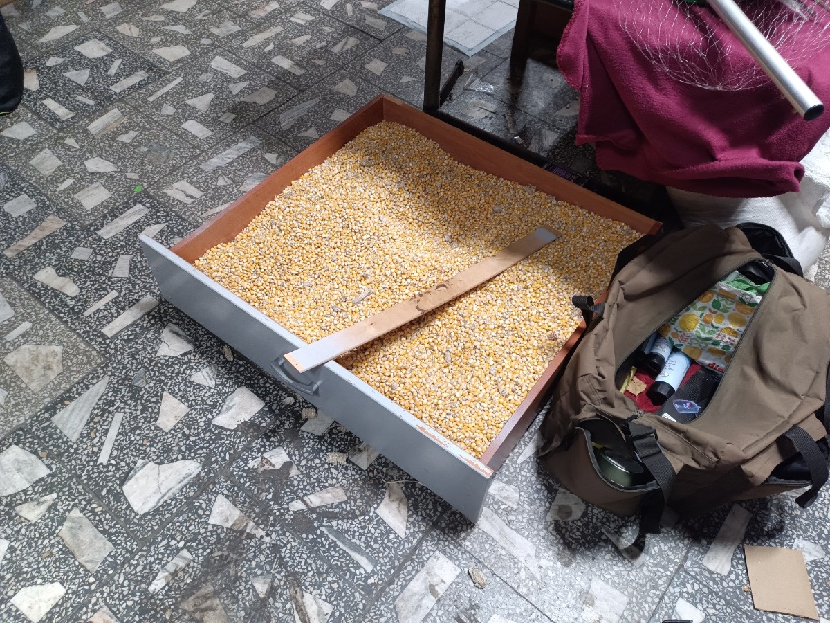 32cf281d-a0d2-42bc-a1a0-bfb01cab594b