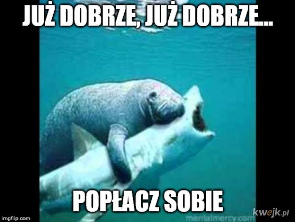 c4b1d1e8-0375-4bac-82f2-8a6d00dd054f