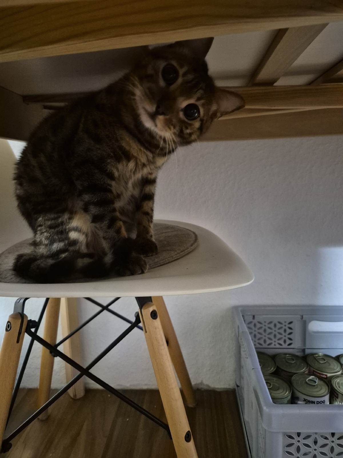 311e8092-a16f-4c08-b4b5-433c4e4a8aa8