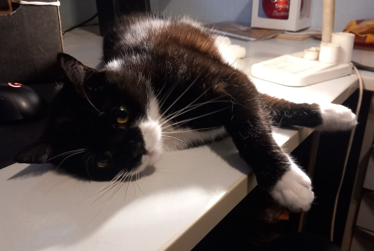 3d6a62d1-e382-40c7-8636-98fcc587eef8