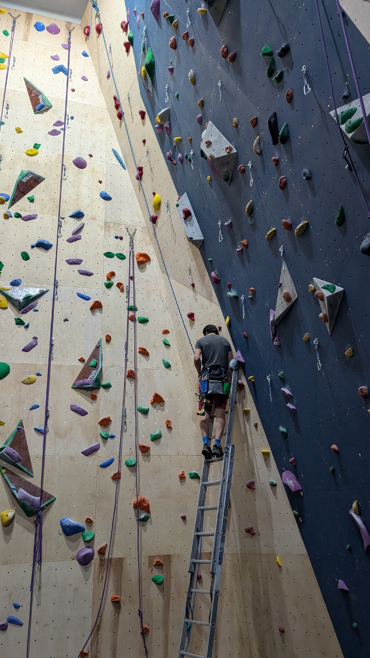 d283b745-e80c-4bc1-8e88-adbce3a39d19