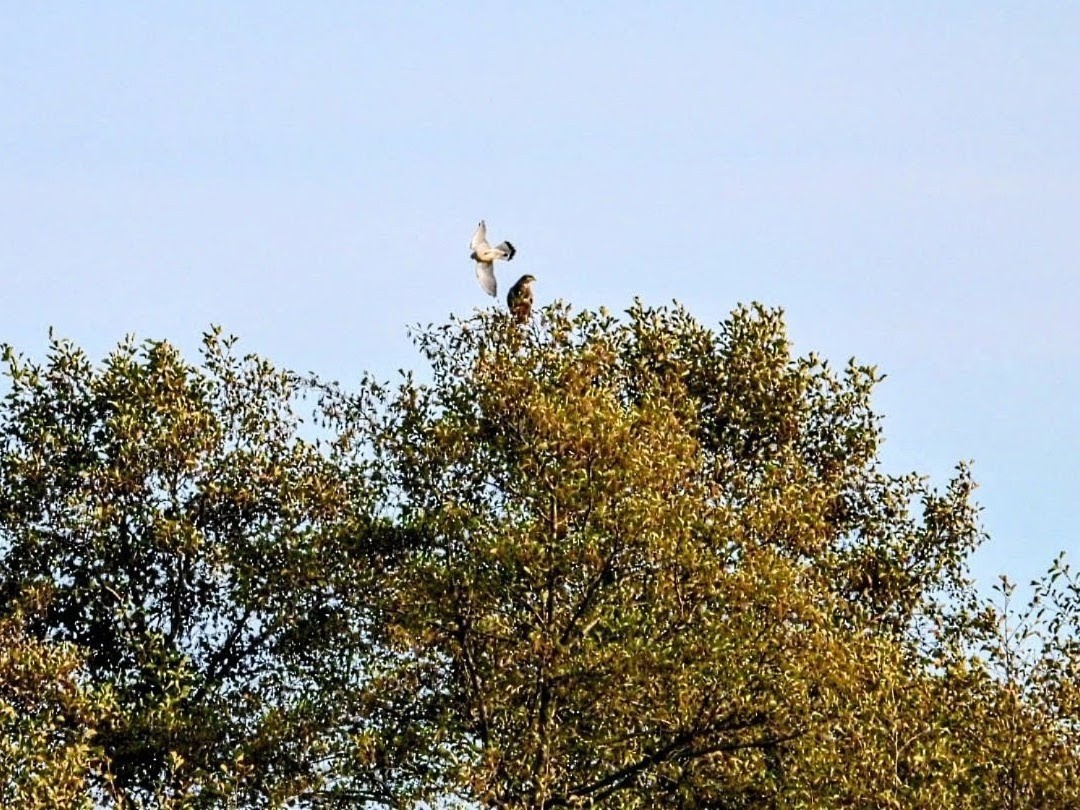 99c654b6-014d-4e58-8b20-b41fd8ce17bb