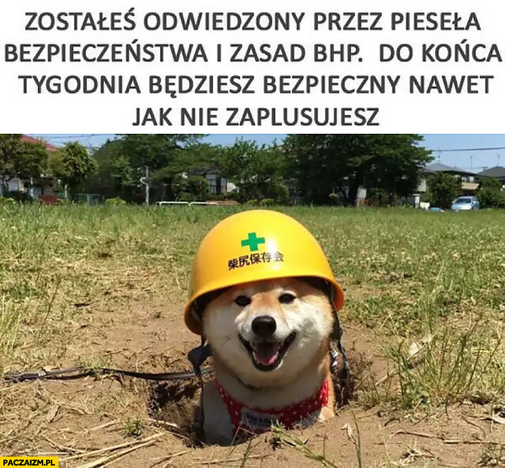 Pijesz napoje "zero" i "light"? Narażasz się na cukrzycę