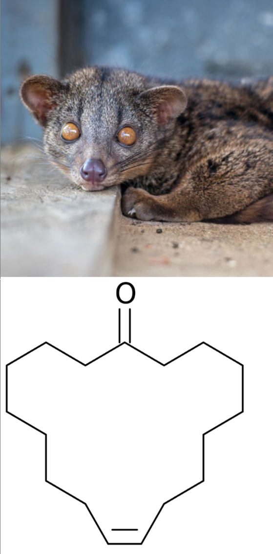 3c86fde9-3da0-4c45-b067-8b8b0524edae