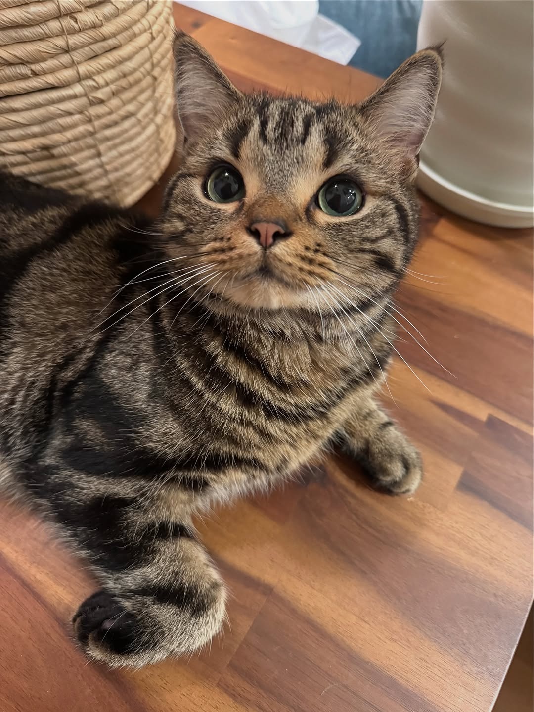 540771a5-59fb-413a-8218-1fd5ebd814ee