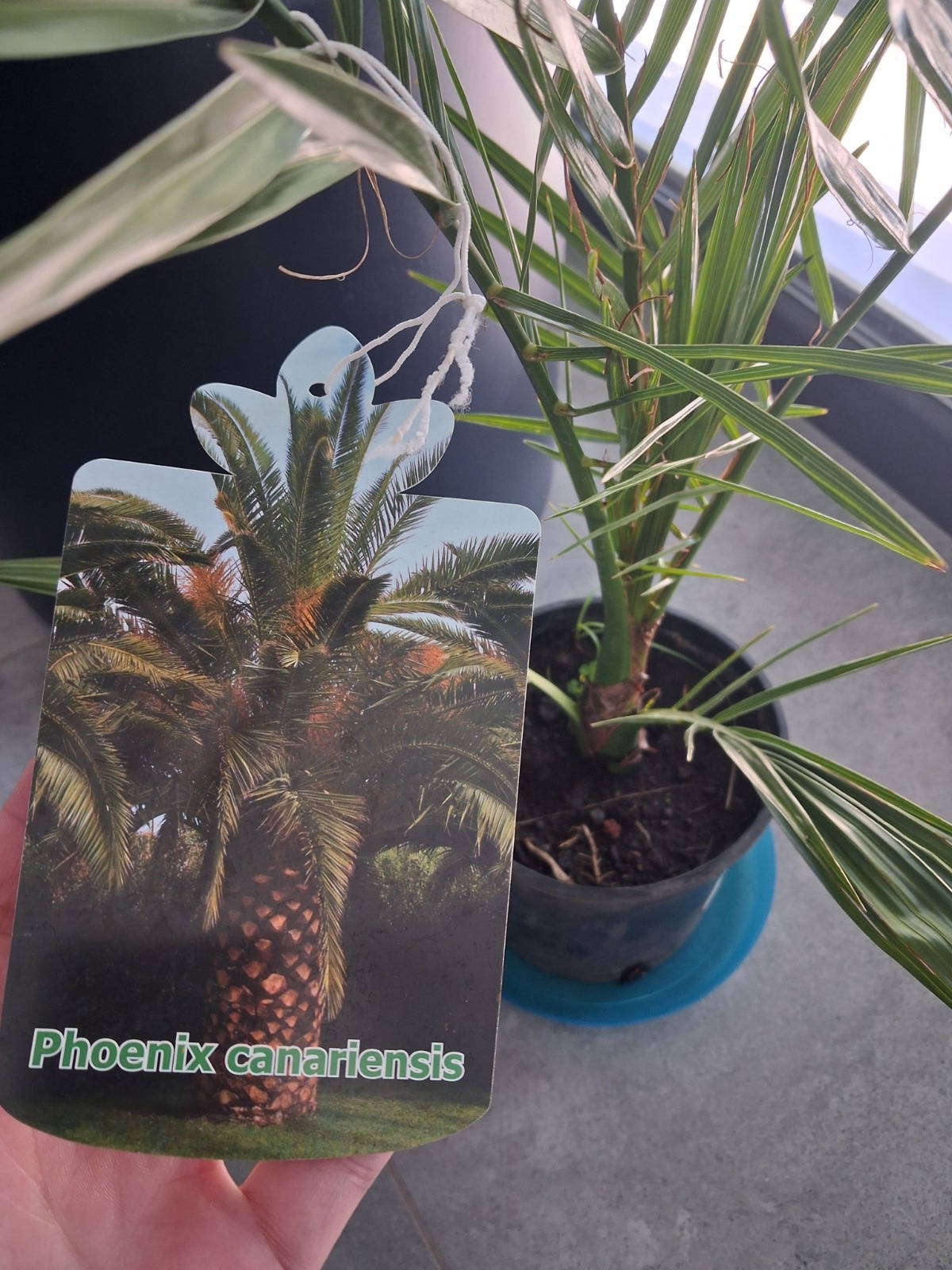 f7c1338b-6c71-473c-bd33-8927b6d37e3d