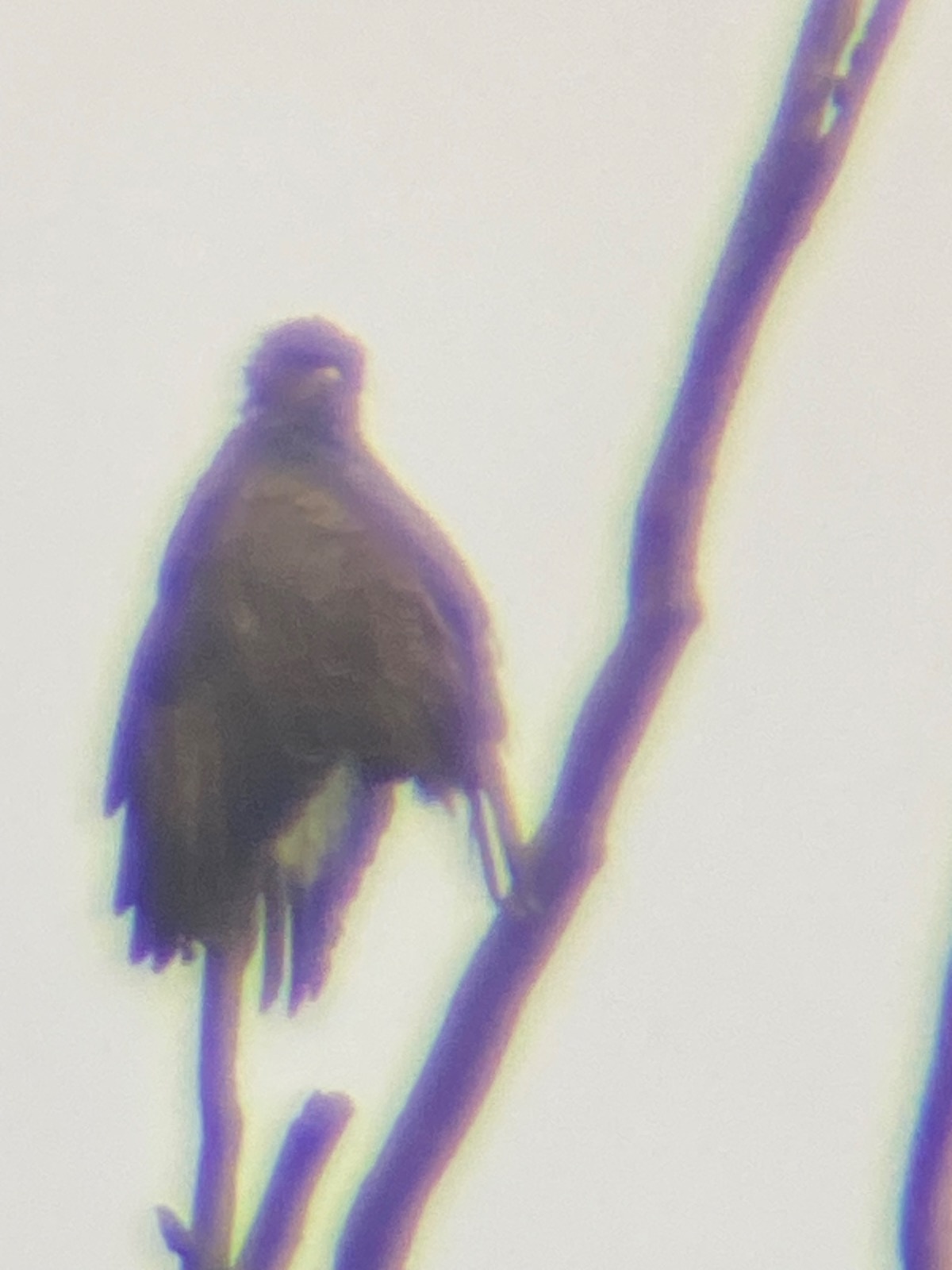 cee86eb2-8ae7-4fc2-82a0-8a679e555eac