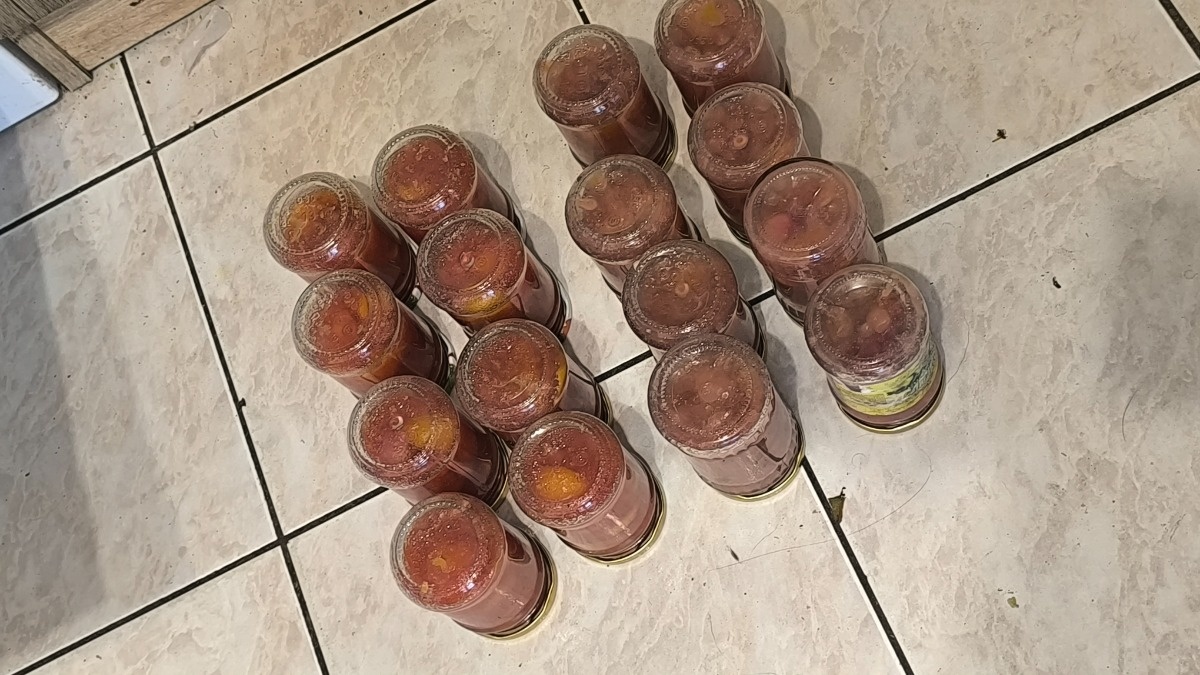 fca99e78-3720-4869-8b92-8714479a4cd1