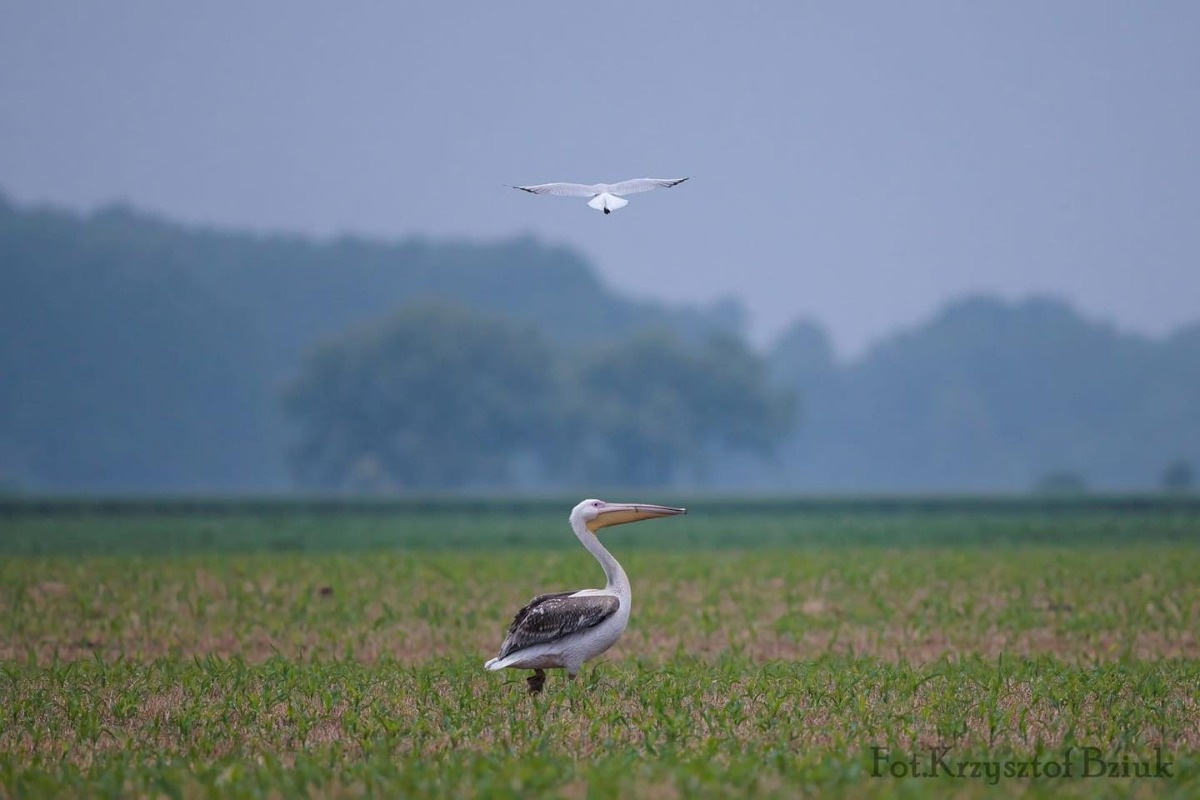 2f0f2892-d564-47e4-9518-03019c8707ce