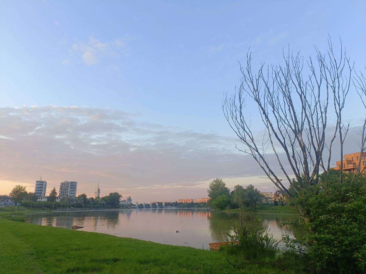 500551fd-3e57-4d31-a7fb-add83be95da9