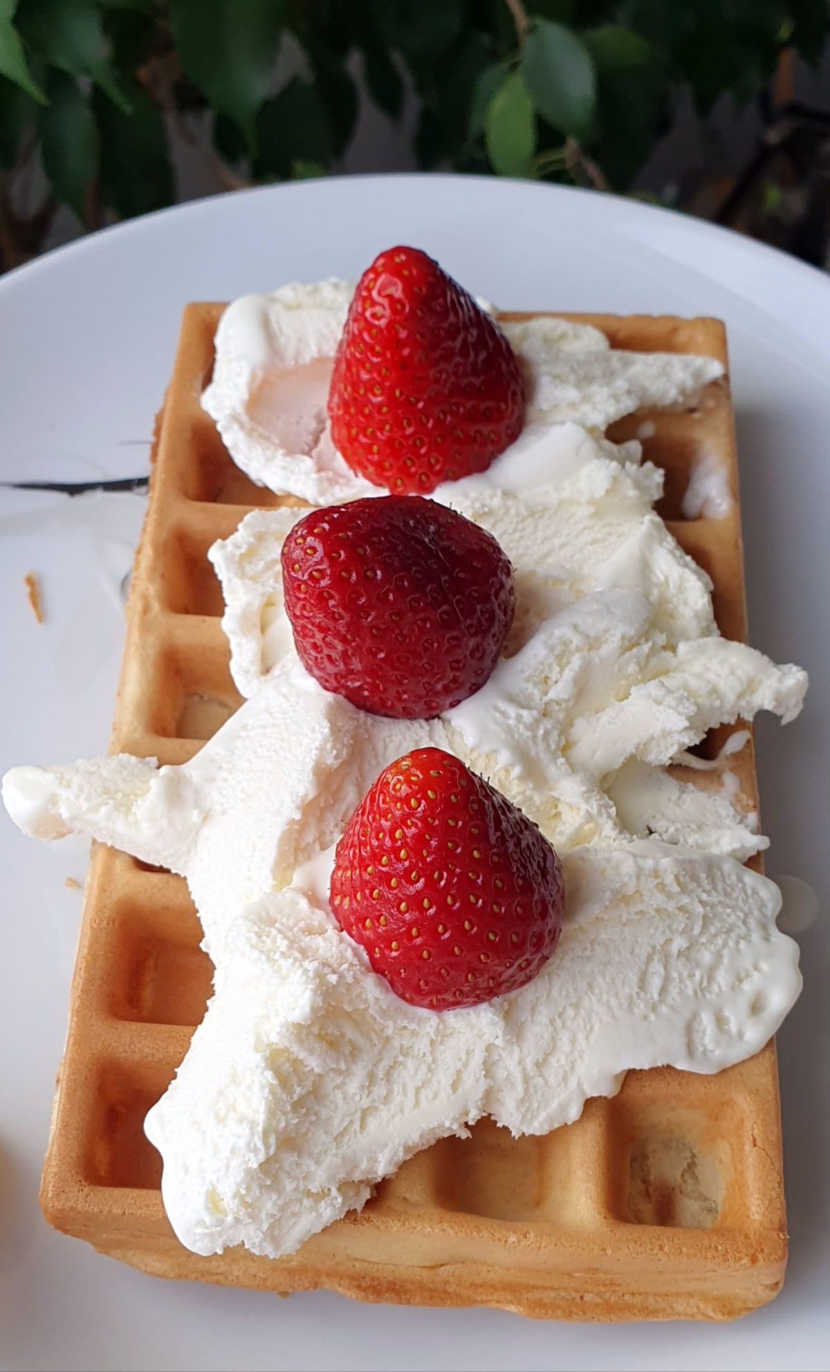 0c2c42c8-a744-4b44-bd07-e717214f4b9f