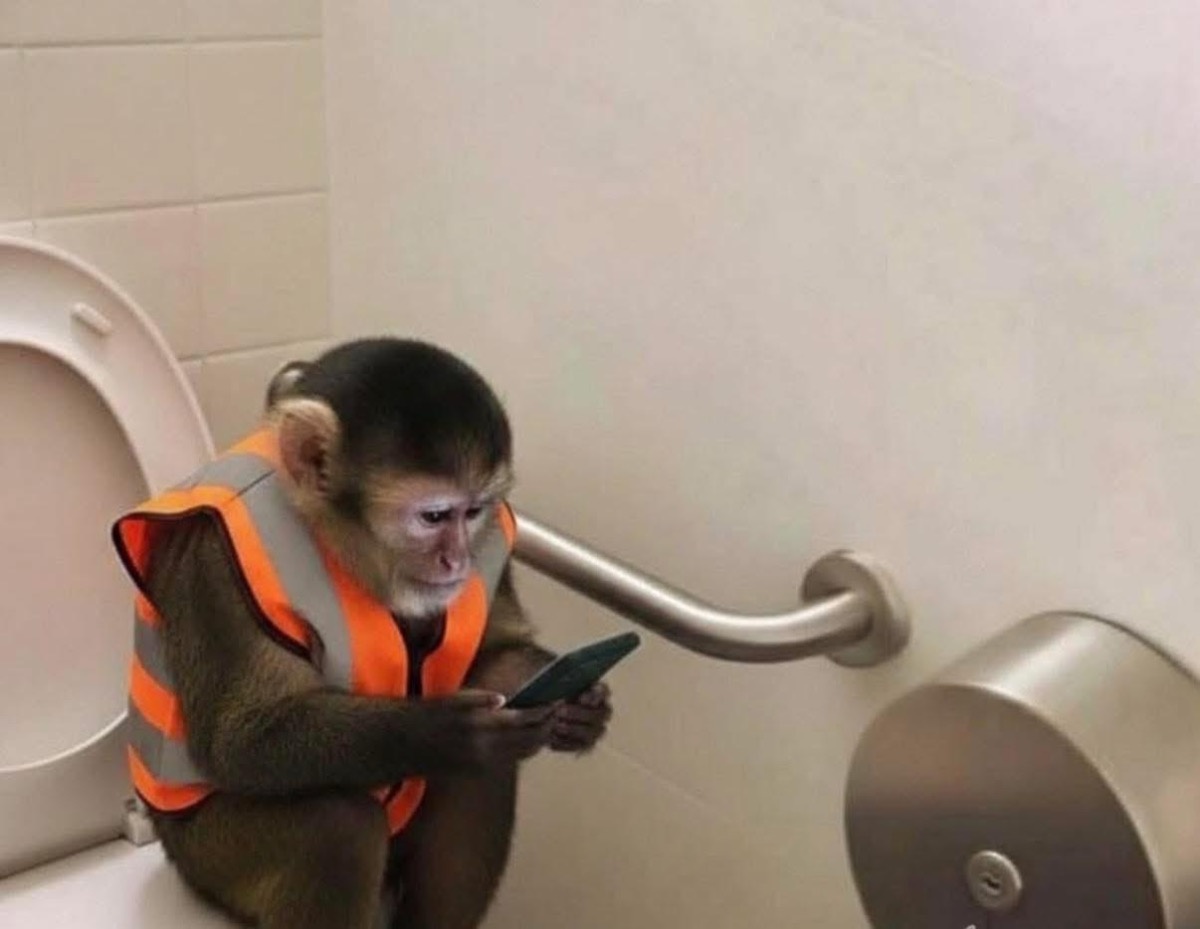 c815bf87-555d-451f-a252-b9dbe0f6967b