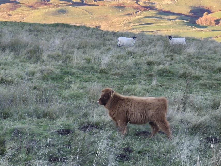 c735edc3-b543-48ef-884c-c2f69ba982ec