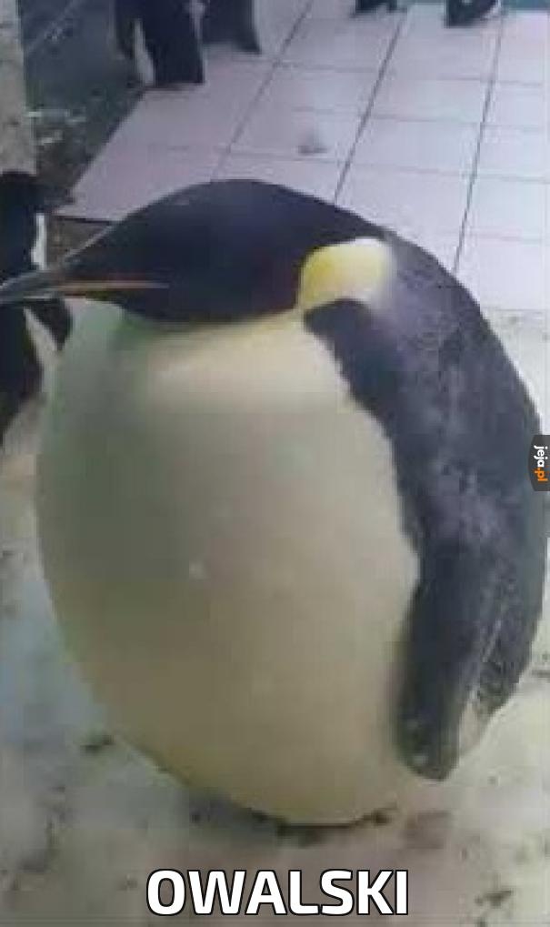 253cfa60-ec1b-4a00-85a4-63ed1e58d5dc