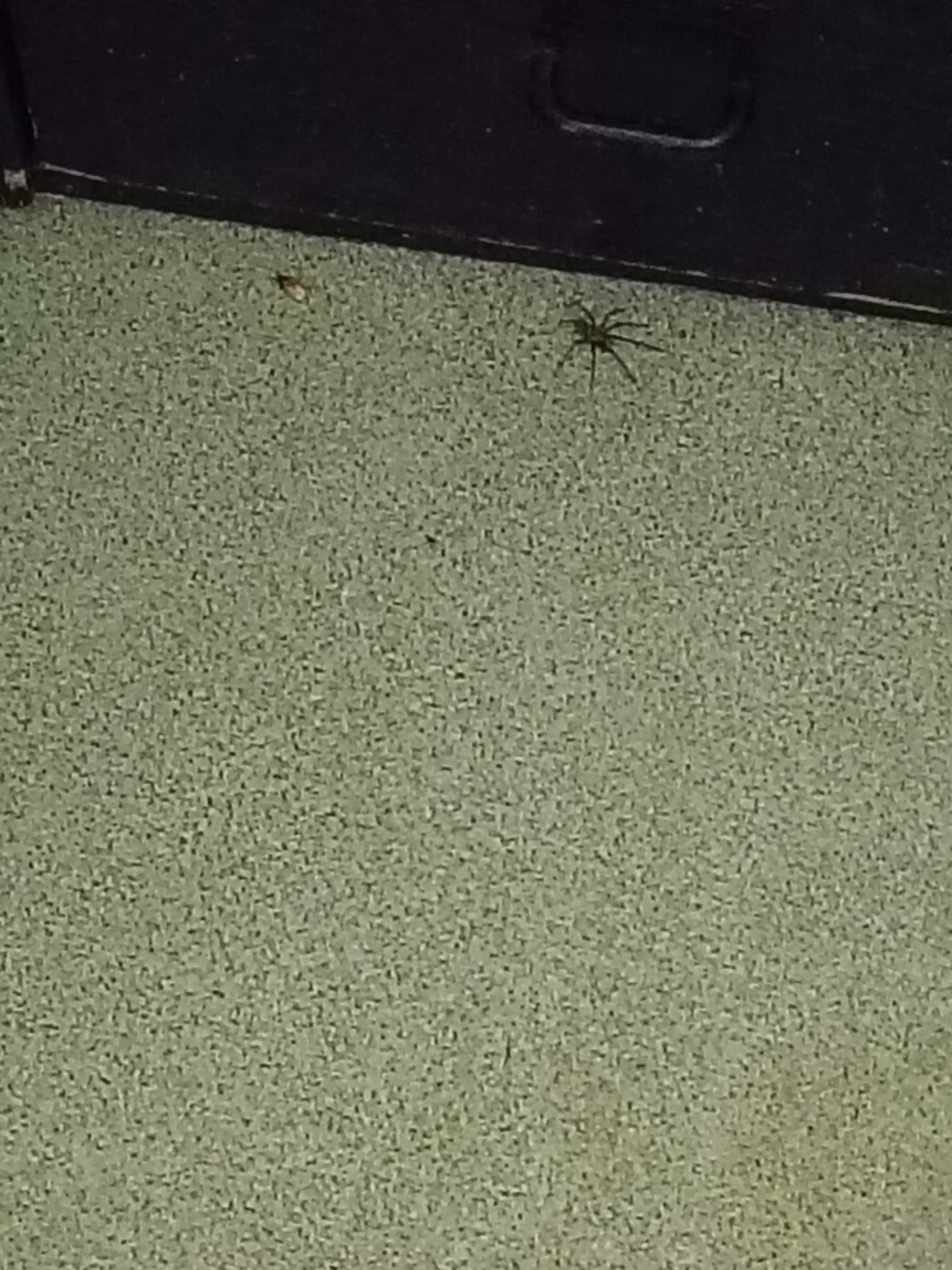 954ed67a-2cf9-4aaa-b65a-6200f3cc9979