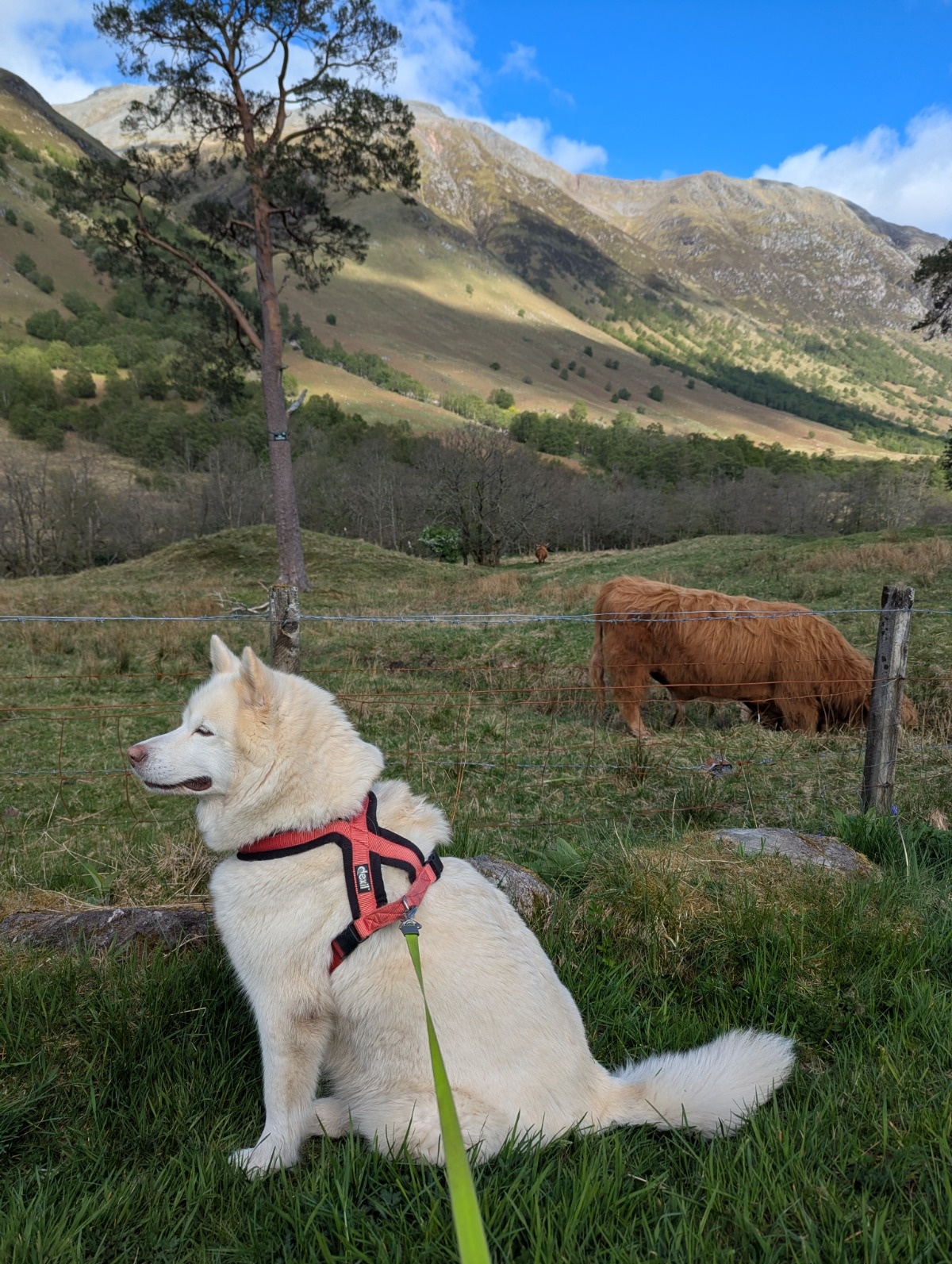 ad0fbc86-bc1b-4cf8-b7c4-ab3522a2a426