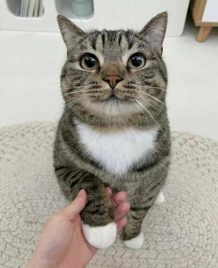 101882c4-f858-4e87-9840-7f82f20e1b21