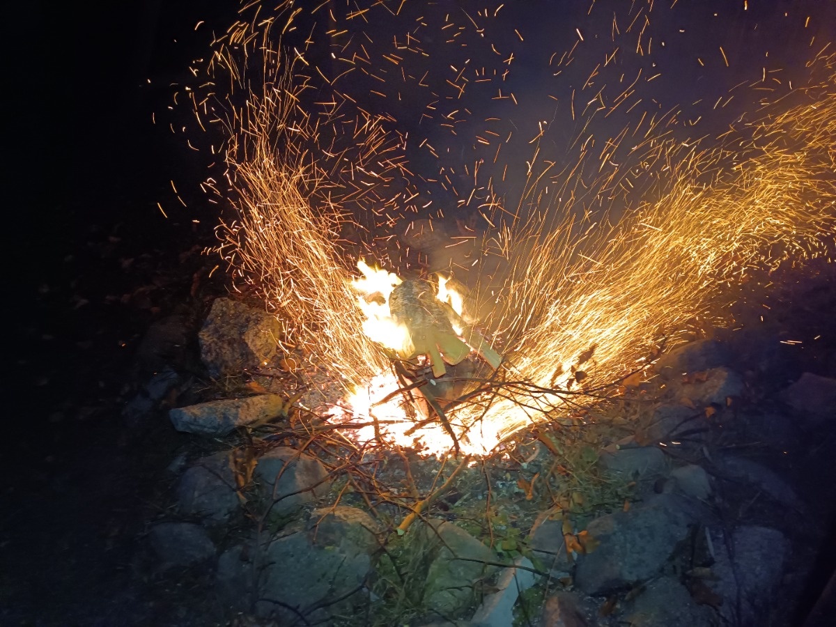 1a5d408c-586f-4195-baab-260003e245f5