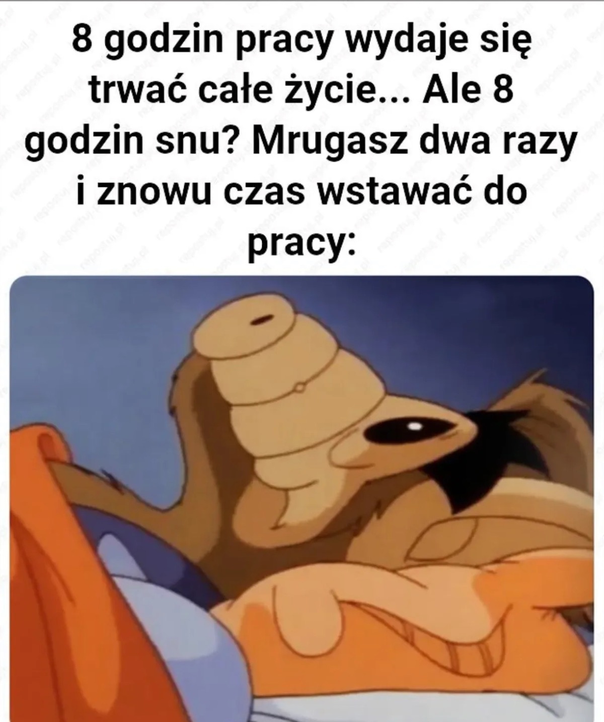 51a19539-7b71-411b-9a1f-980afaf1e732