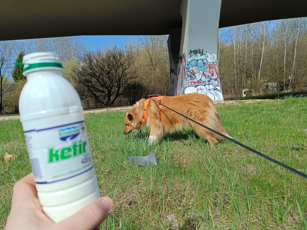 4a479f3e-1727-4d54-90db-88af5aae57d2