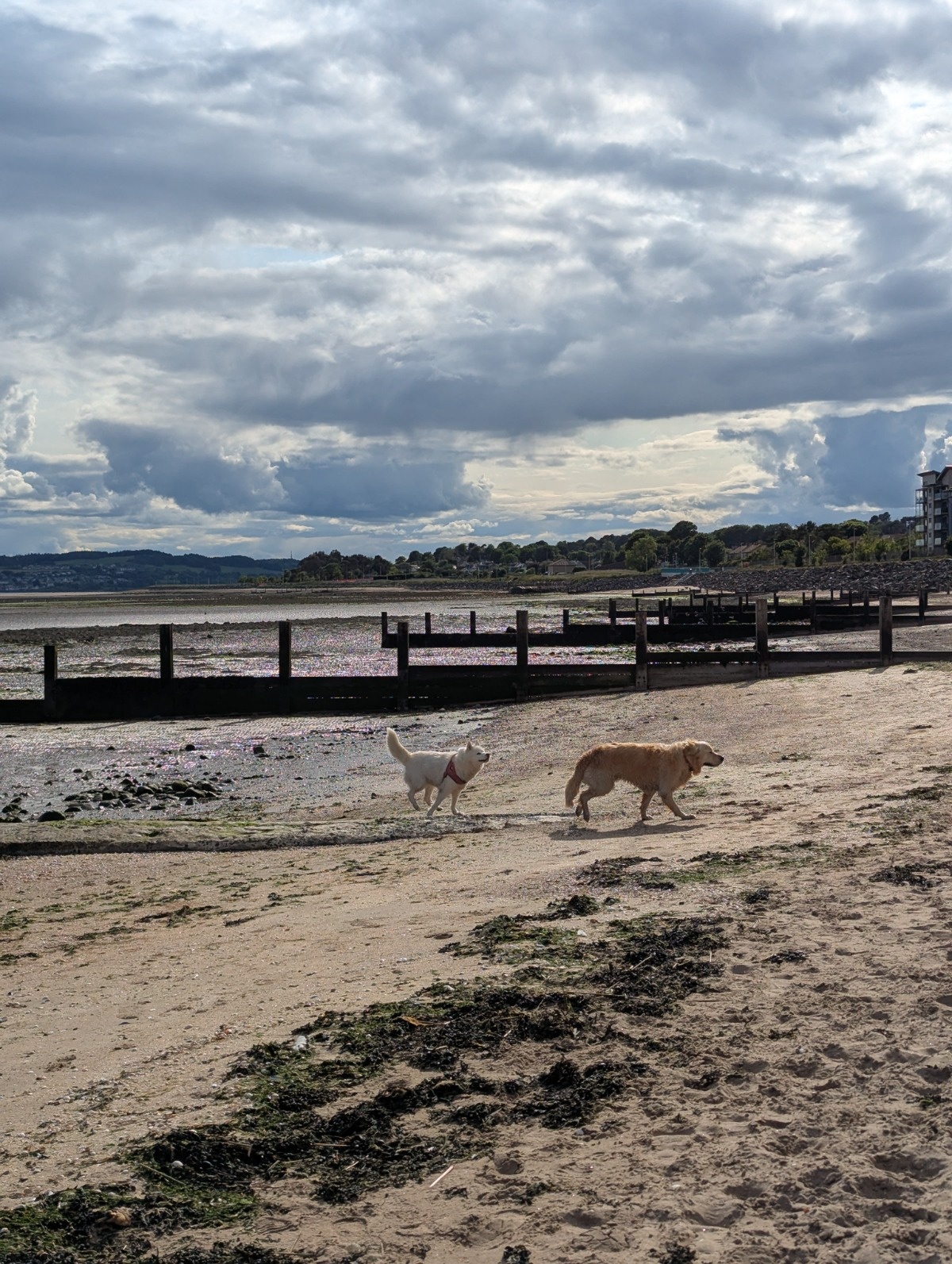 89368536-3ddb-4e44-8559-2f43ae6c22b9